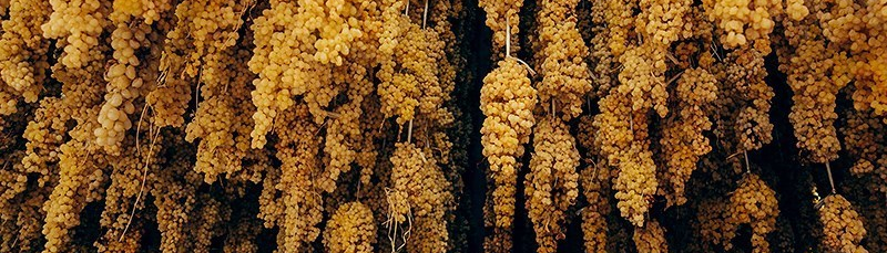 I vigneti di Malekan